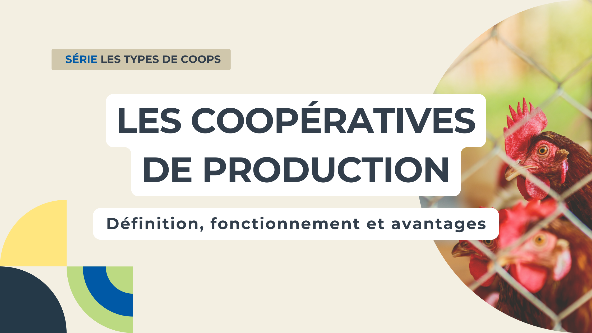 Producers Cooperative Definition, Operation and Advantages CDRQ